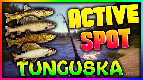 russian fishing 4 aktuelle spots